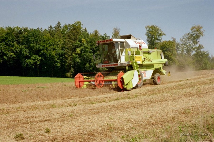 Claas Drescher 32